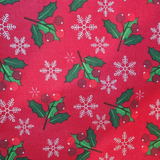 Noël guy